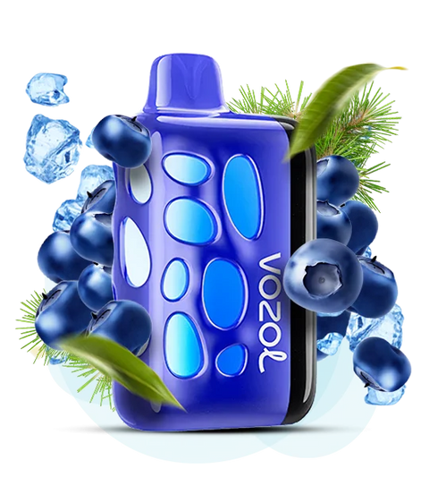 Vozol Rave 40000 ​Blueberry Ice (Чорниця з прохолодою) vr40000a100 фото