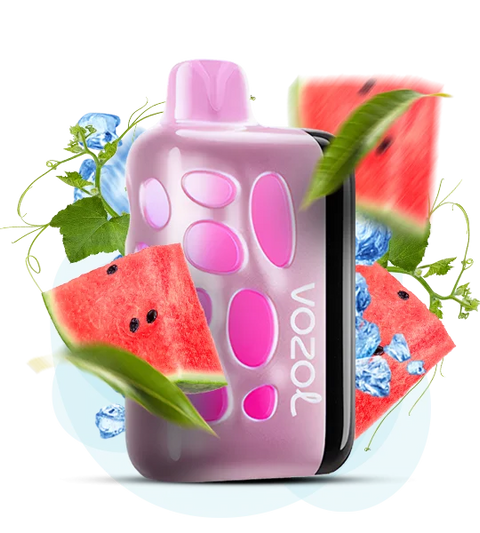 Vozol Rave 40000 ​Watermelon Ice (Кавун з прохолодою) vr40000b113 фото