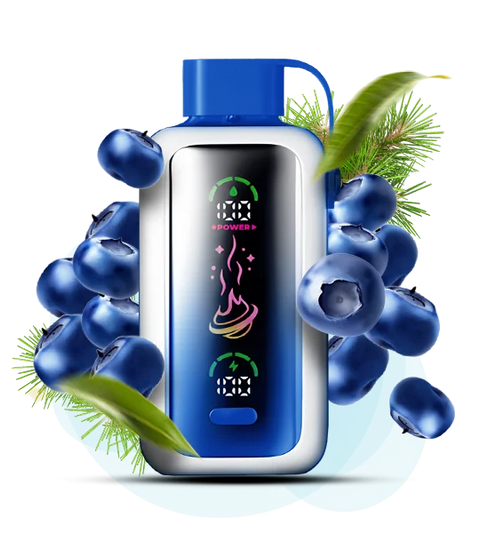 Vozol Star 20000 Blueberry Storm (Лохина) vs20000a101 фото