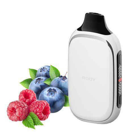 Roqy 40000 Sour Blueberry Raspberry (Кисла чорниця Малина) r40000110 фото