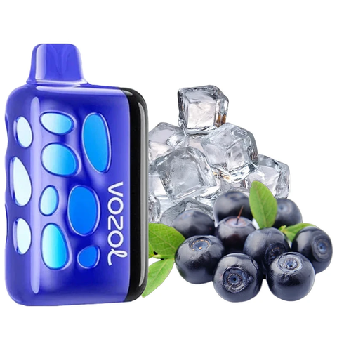 Vozol Rave 40000 ​Blueberry Ice (Чорниця з прохолодою) vr40000b100 фото