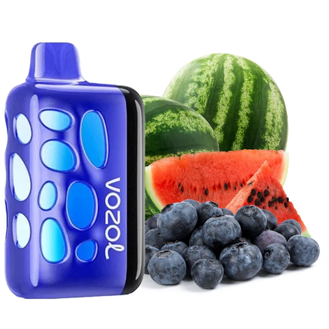 Vozol Rave 40000 ​Blueberry Watermelon (Чорниця Кавун) vr40000b101 фото